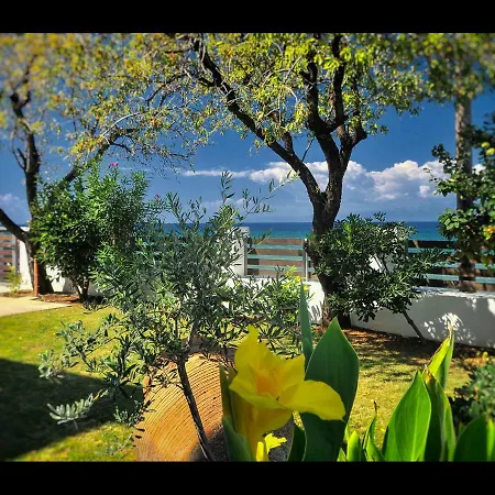 Balconies On Sea - The Garden